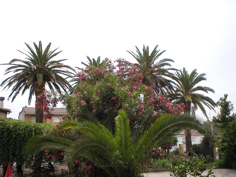 Hostal La Colonial Madrigal de la Vera Luaran gambar